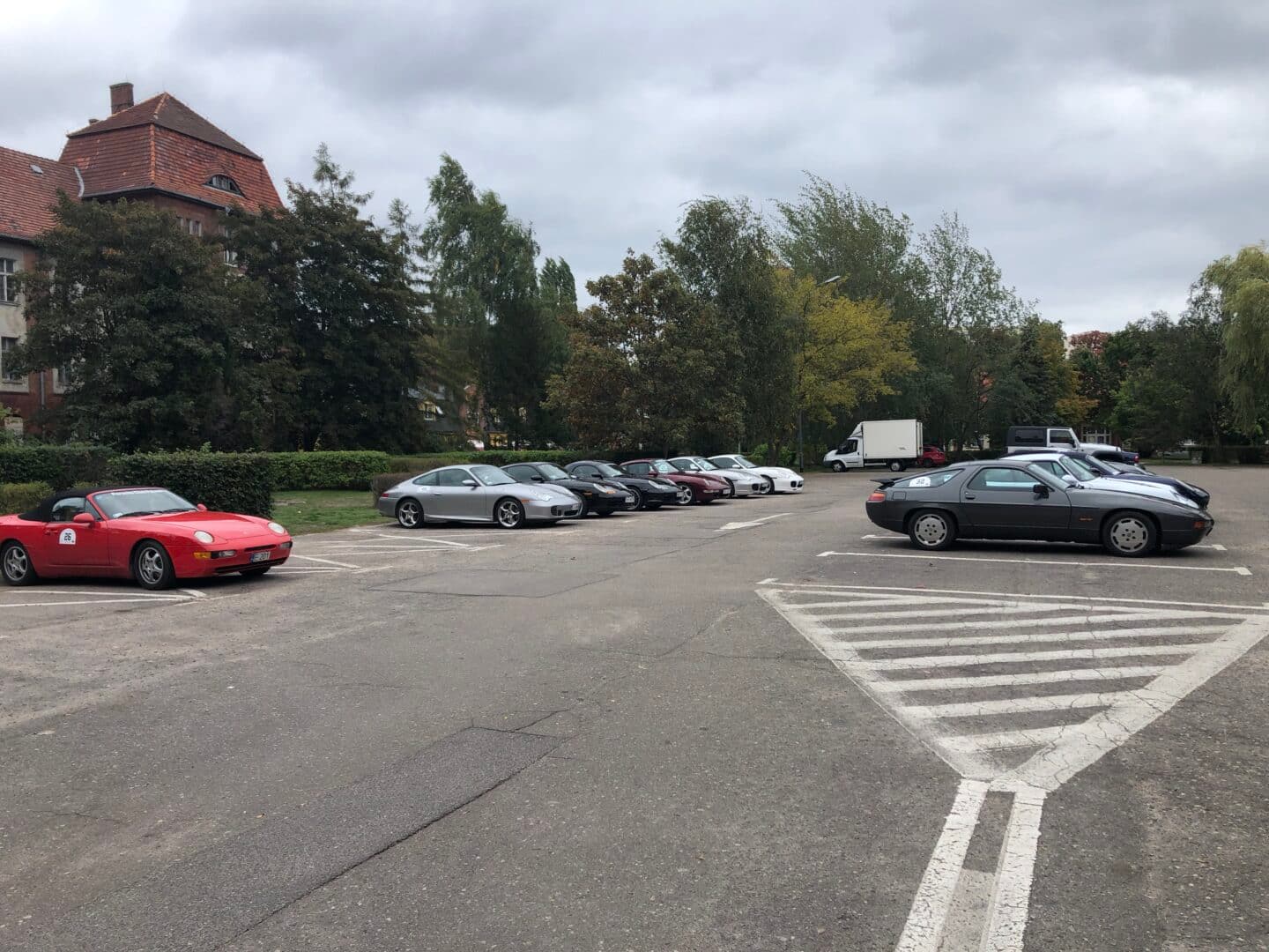 Parking pod UM Świnoujście w weekend opanowały świnki.