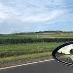 Tokaj - mekka dla winiarzy.