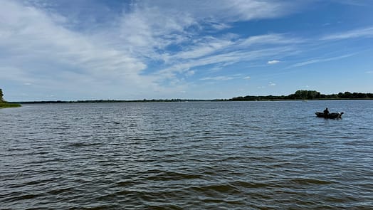 IMG_9911